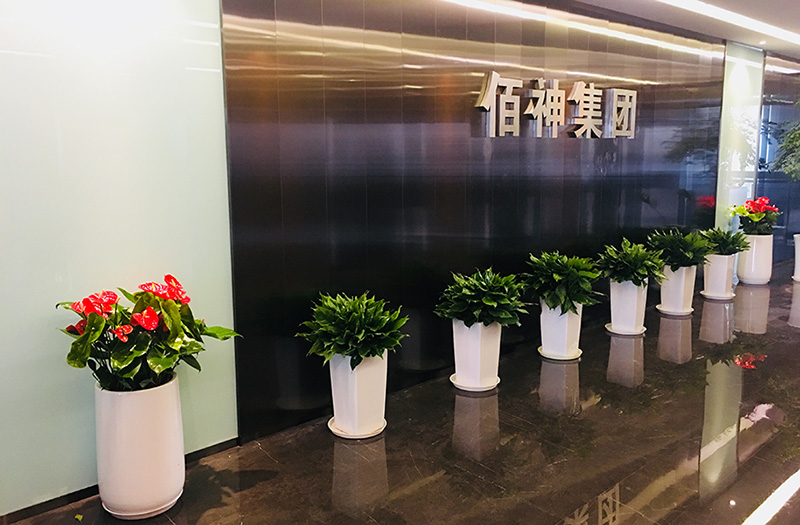 非常適合養在辦公室的10款大盆綠植，高端大方，霸氣威武