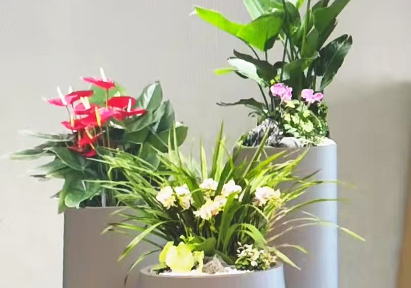 青友園藝成功客戶案例二十三