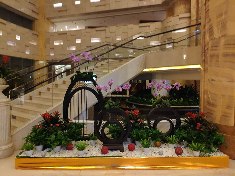 酒店大堂怎么擺放綠植盆栽？綠植租賃時怎么組景？