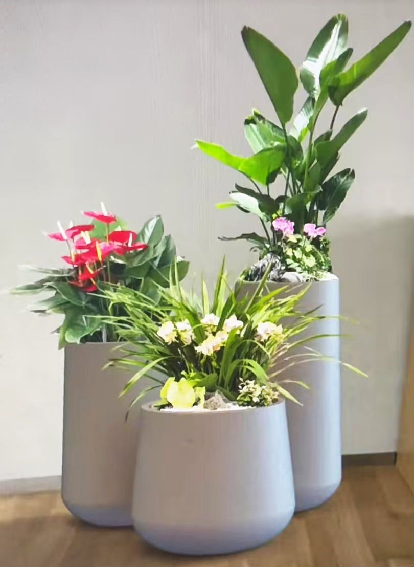 青友園藝成功客戶案例二十三